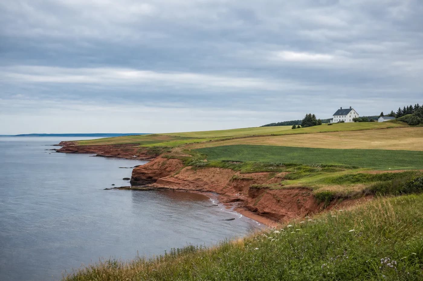 Rolling green and gold farmland meeting low red sandstone cliffs above a calm sea, with a white farmhouse in the distance, Prince Edward Island