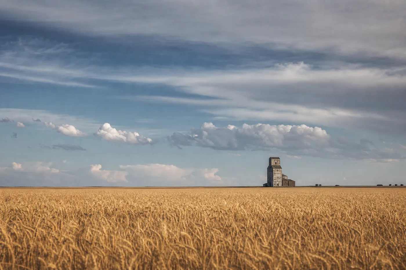 Golden prairie wheat field stretching to a flat horizon under a wide sky with a distant grain elevator, Saskatchewan