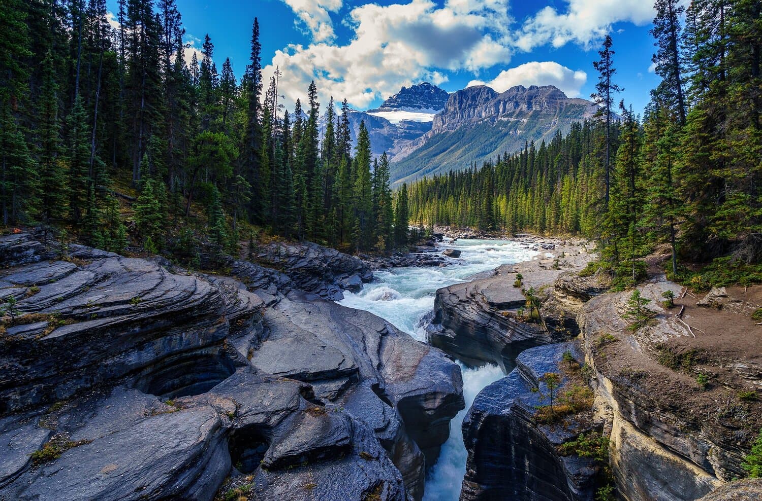 Living in Canada as a Doctor: Vancouver Life and Costs
