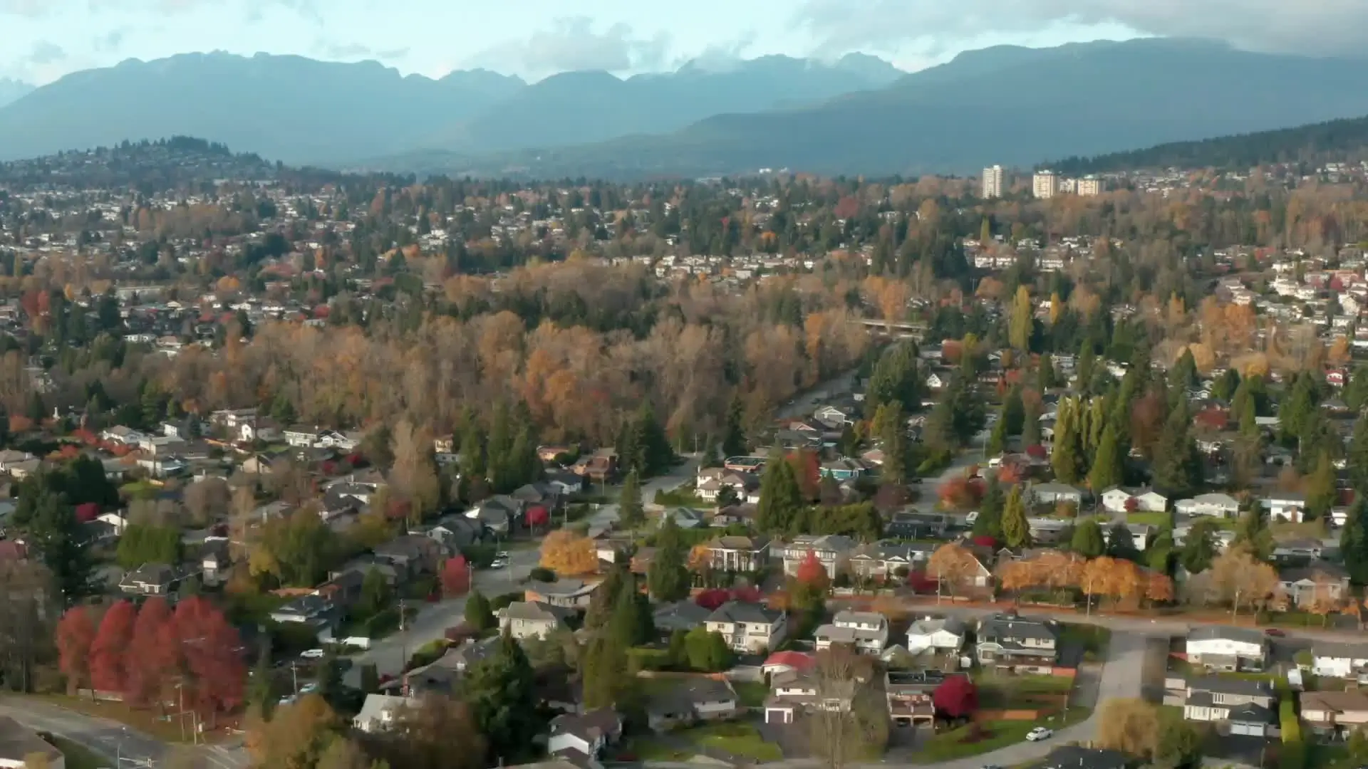 Simply Wellness Dental doctors