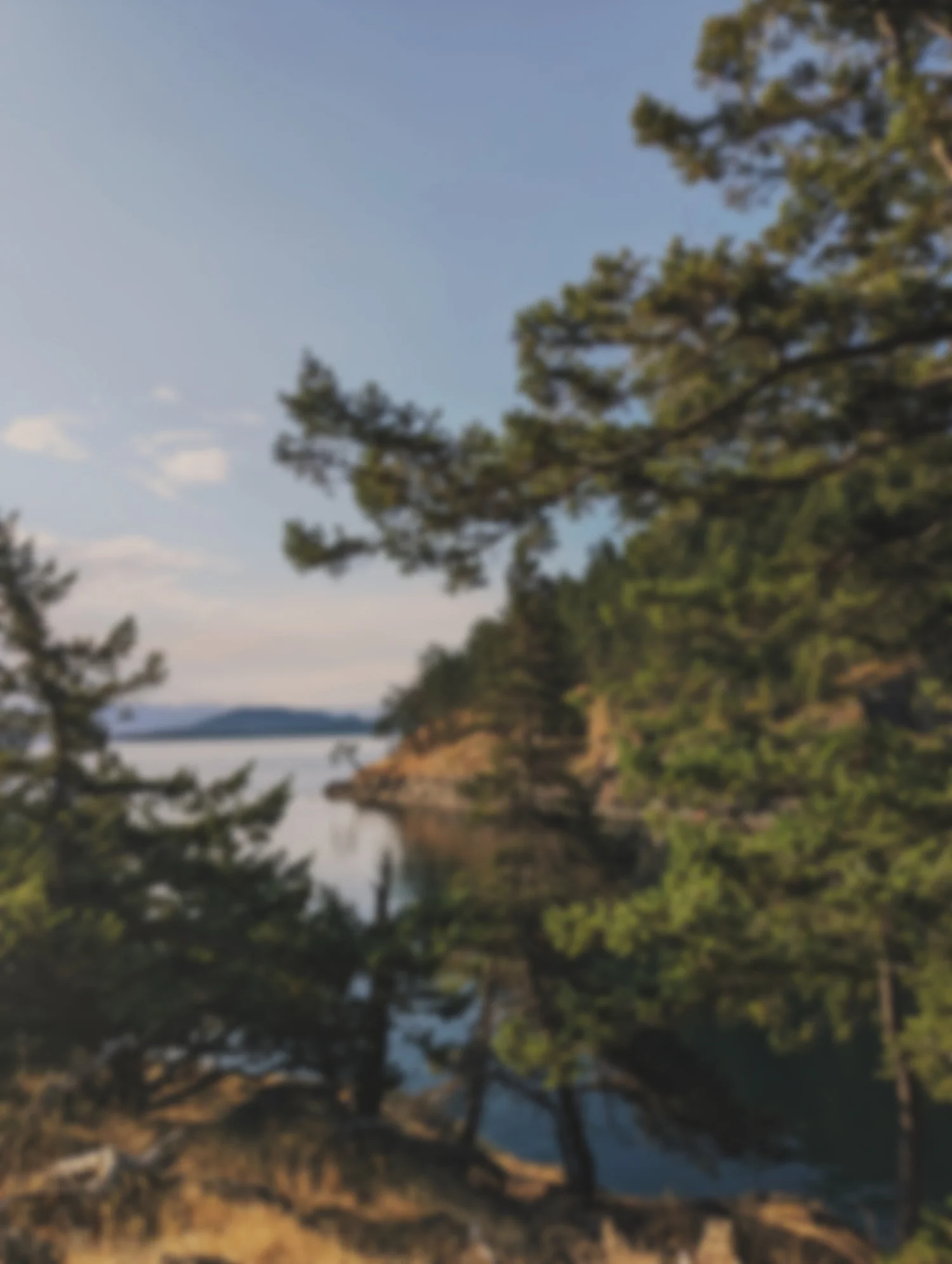 Water's Edge Massage Therapy clinic space