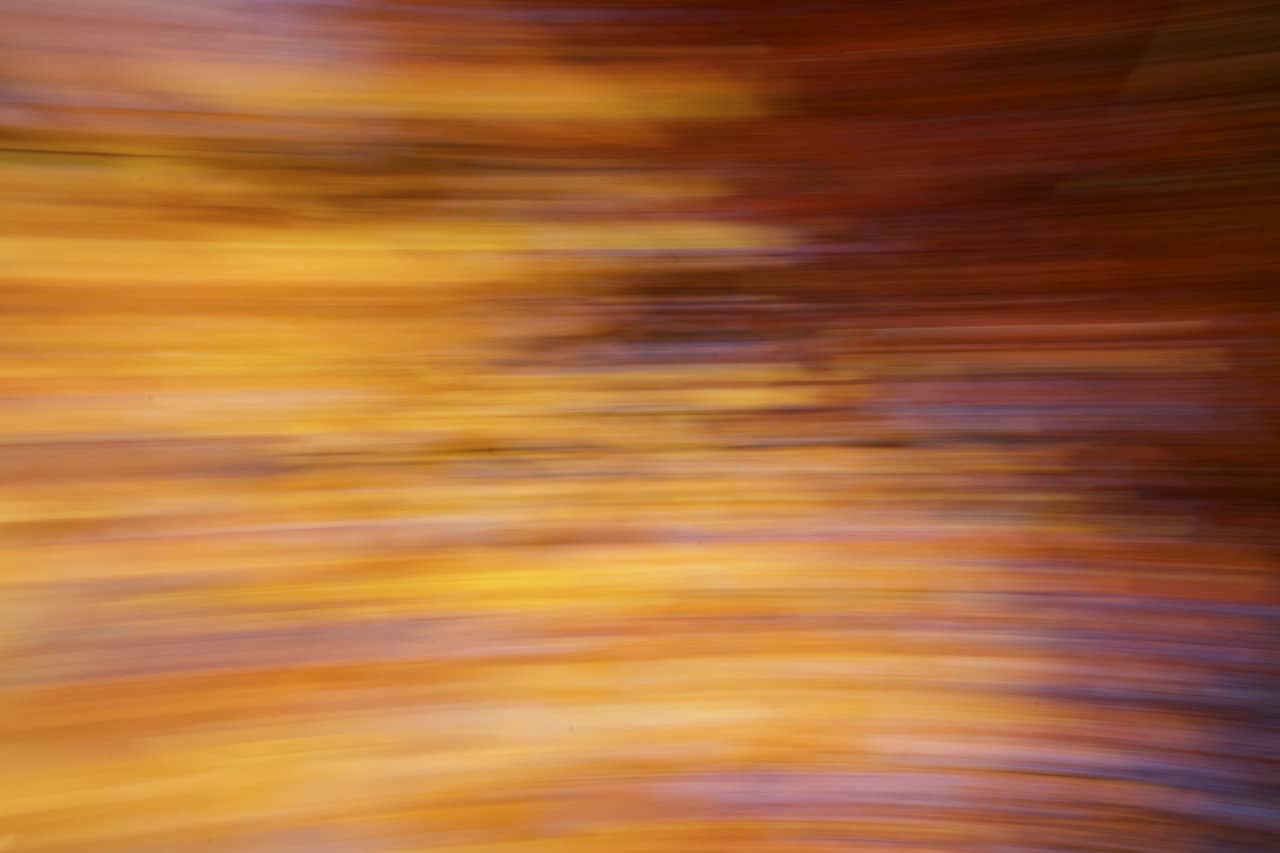 Westwood Total Health clinic space